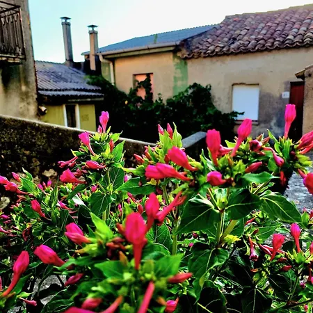 Apartman Casa Peppino Nistico - La Tua Casa Lontano Da Casa- Petrizzi